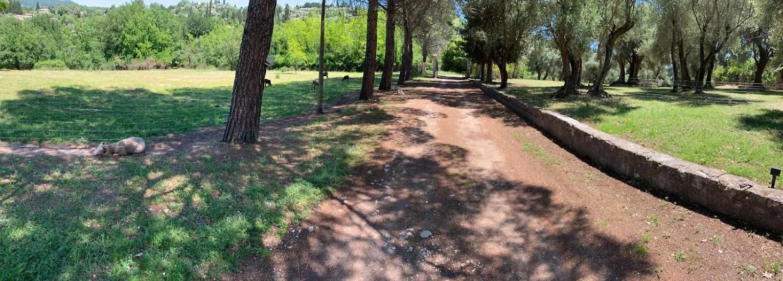 Apartament 3 Pieces Au Dernier Etage Dans Bastide Grassoise Grasse