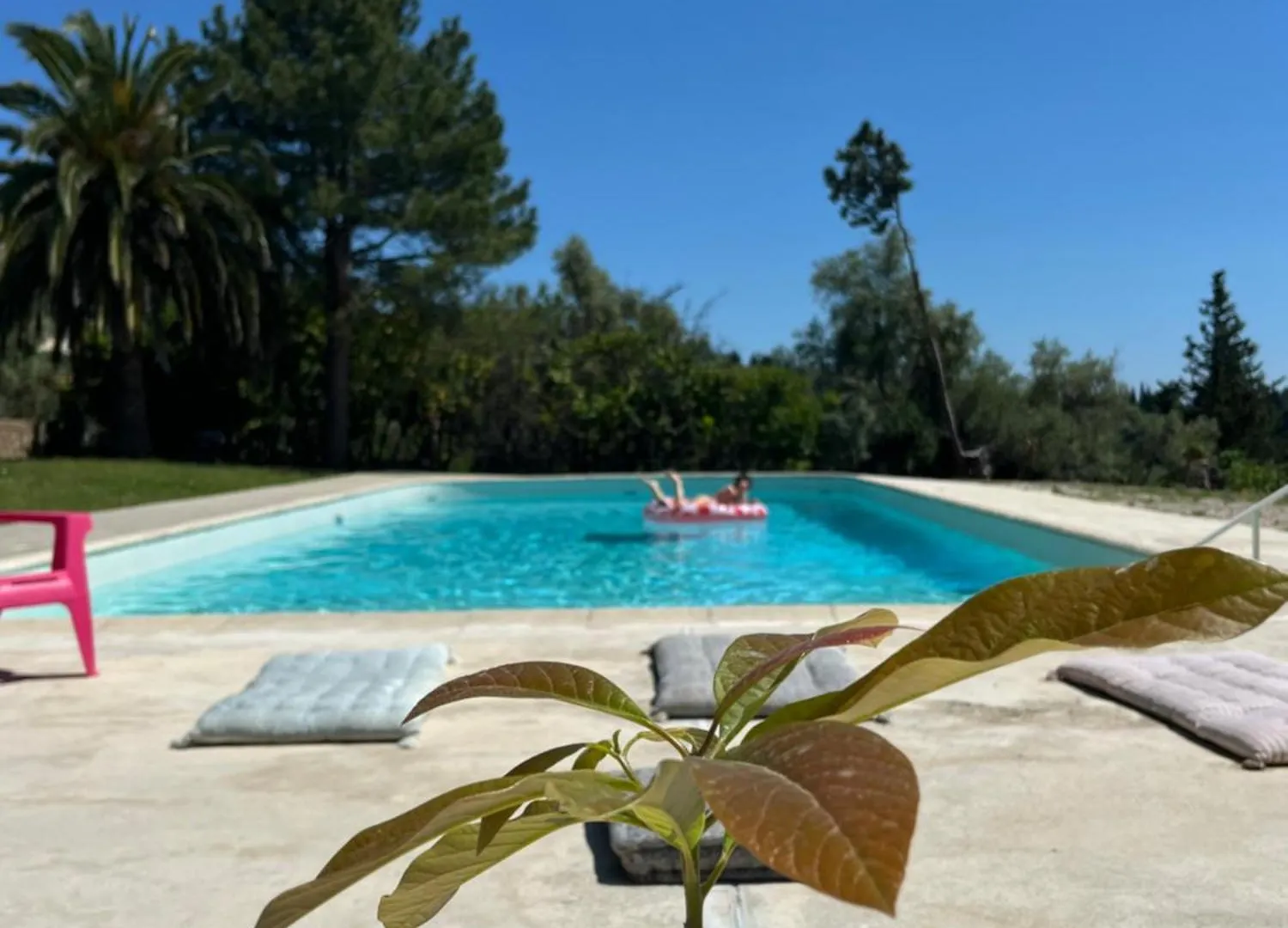 Apartament 3 Pieces Au Dernier Etage Dans Bastide Grassoise Grasse 0*,