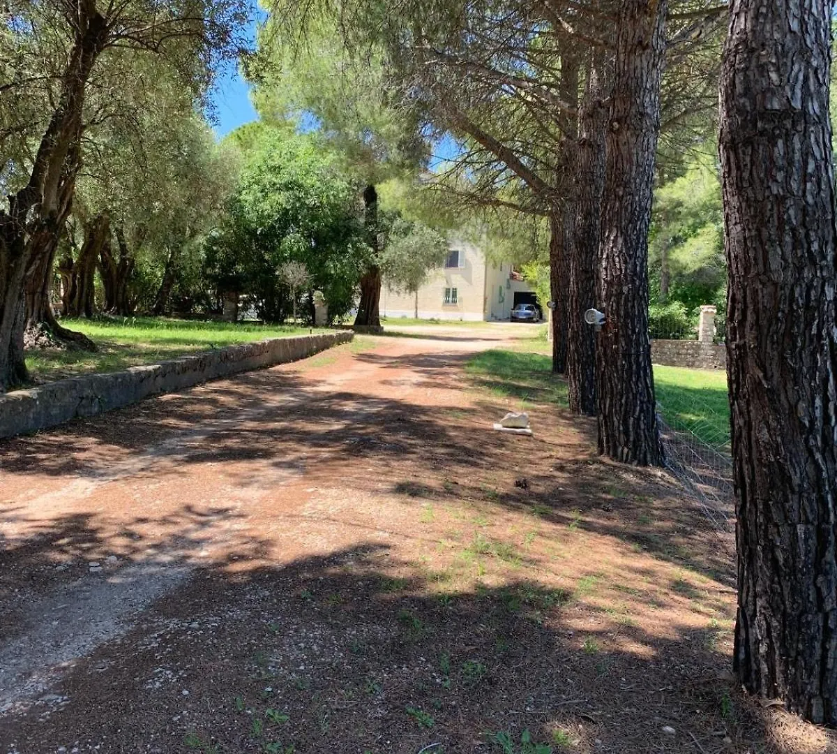 Apartament 3 Pieces Au Dernier Etage Dans Bastide Grassoise Grasse Francja