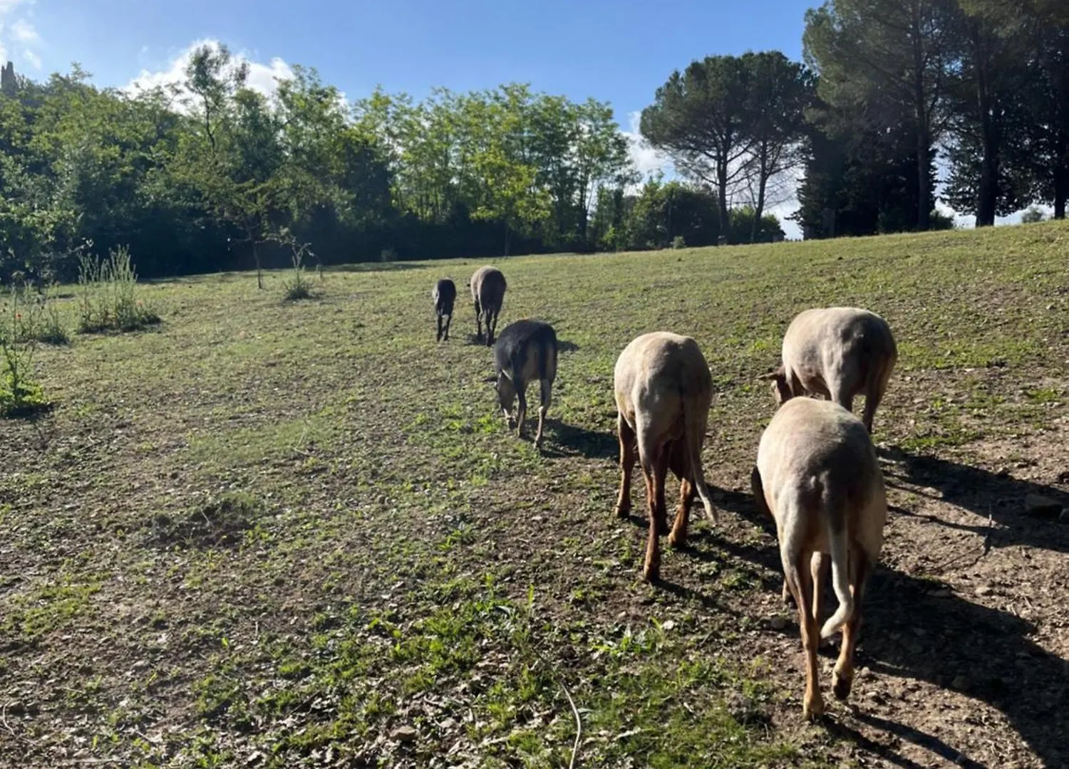 Apartament 3 Pieces Au Dernier Etage Dans Bastide Grassoise Grasse