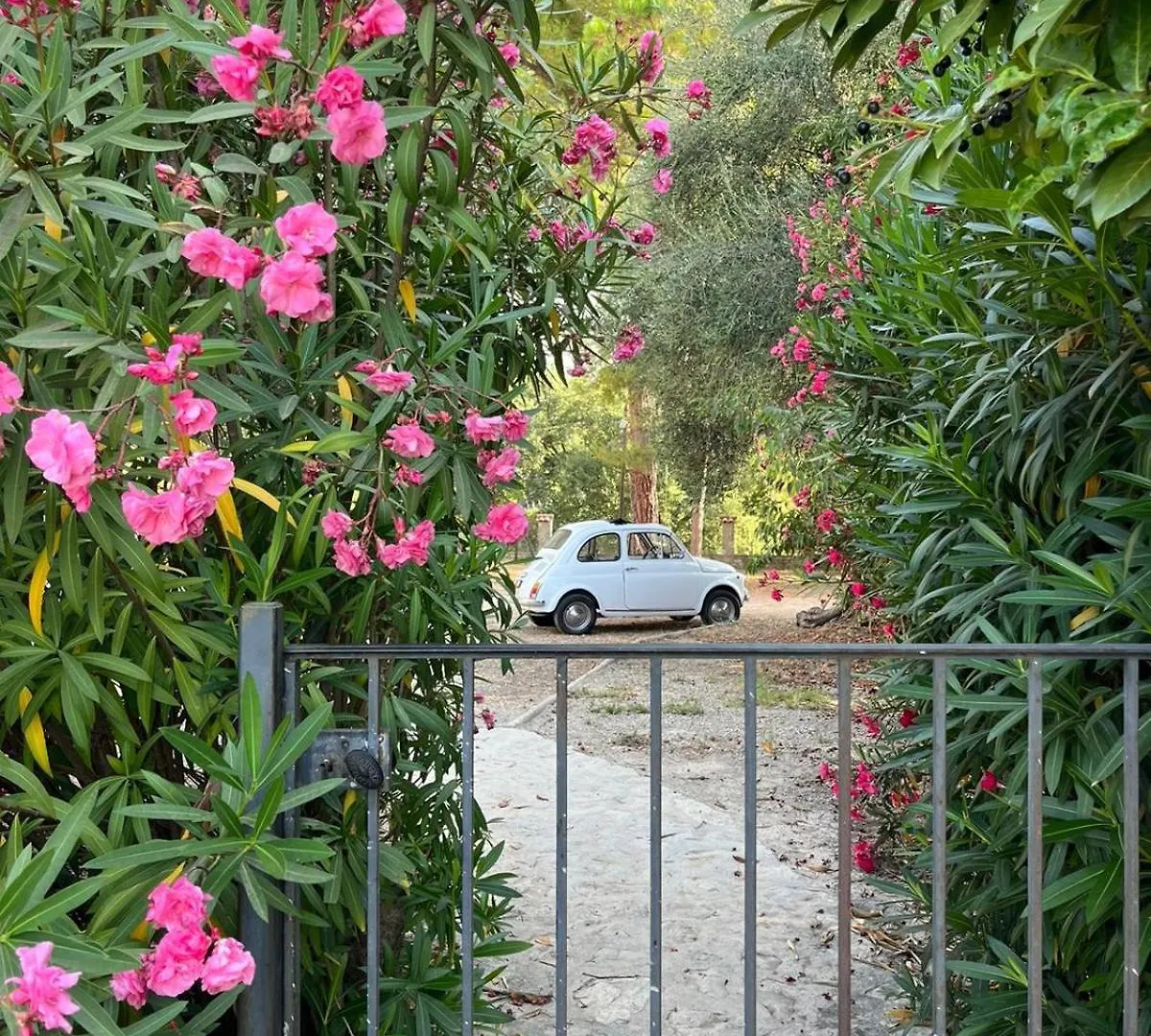Apartament 3 Pieces Au Dernier Etage Dans Bastide Grassoise Grasse